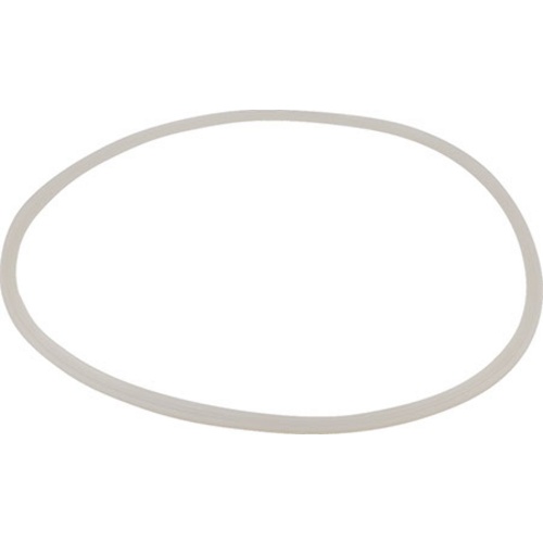 Chronical 1 bbl Replacement Lid Gasket MoreBeer Pro