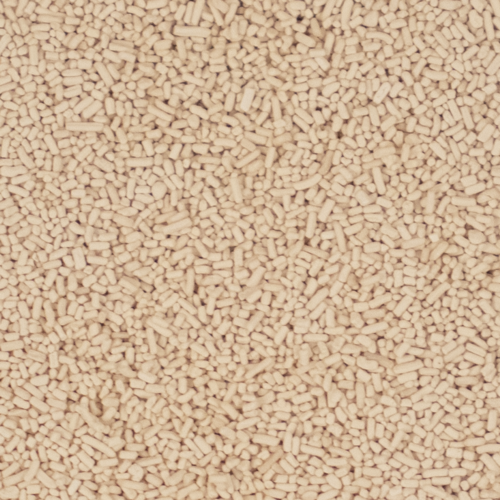 Lallemand | Servomyces Yeast Nutrient
