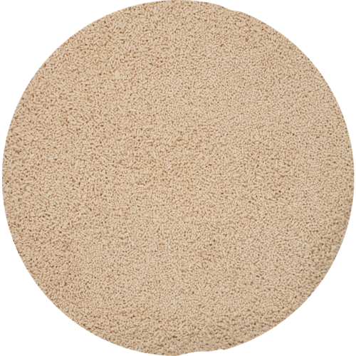 Lallemand | Servomyces Yeast Nutrient