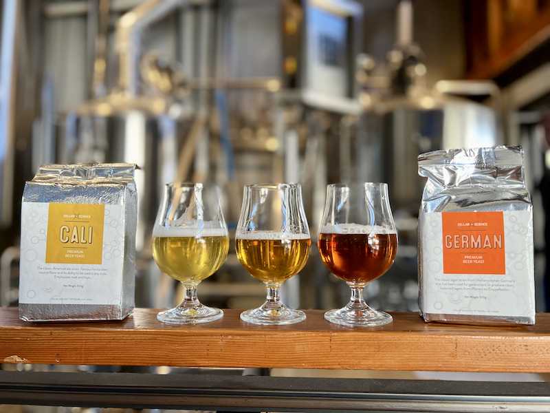 A brewer pitching CellarScience dry yeast