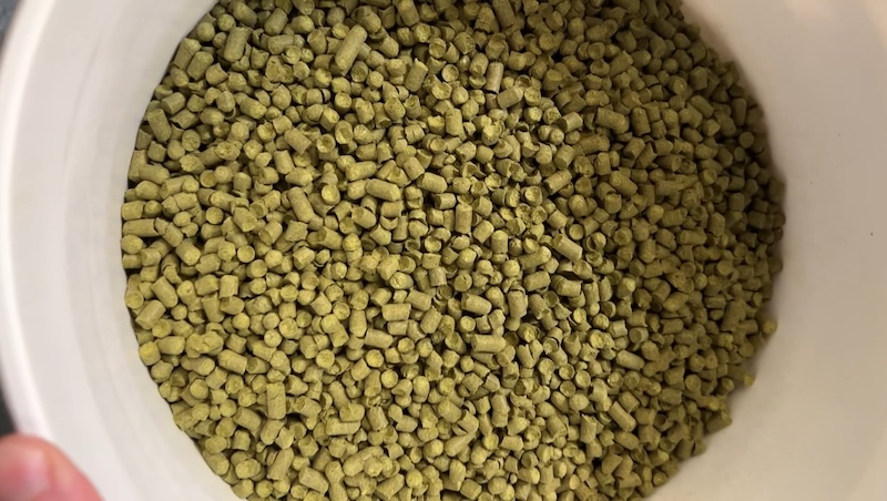 Artisan Hops - from the field to pellets